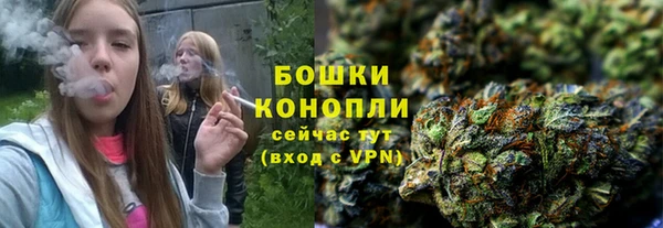 дмт Костерёво