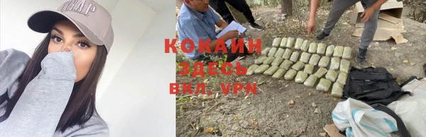 дмт Костерёво